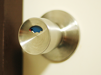 �g�C���̌�